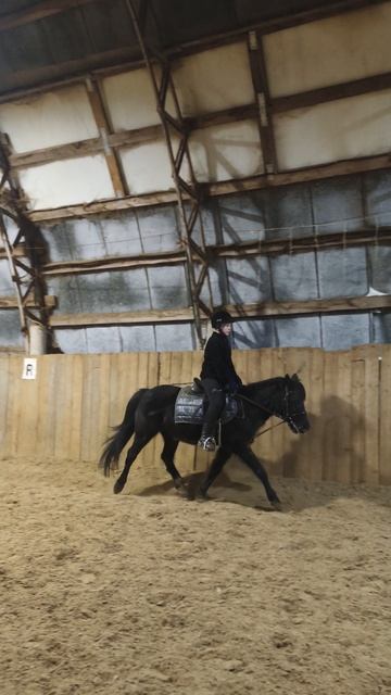 София и Наоми, строевая рысь по стенке в манеже.