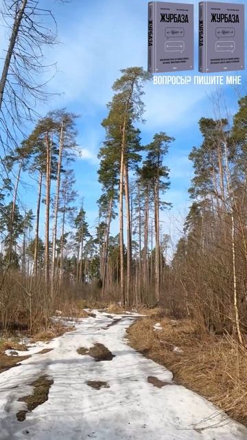 Про компромиссы и обучение предпринимателей
