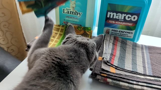 Ozon и WB покупки🔥 для дома и уюта🌺/Котопозитив🐈/Подготовка к весне👚