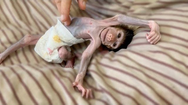 Степка просыпается ОЧЕНЬ ВЕСЕЛО! Пытаюсь заставить его идти, но Степашка отлынивает)))