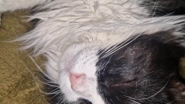 Деревенская жизнь это когда и сложно и кайфово одновременно Как я здесь справляюсь с трудностями