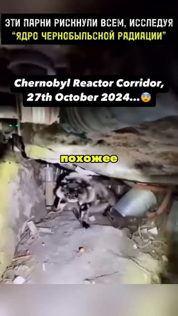 Энциклопедия знаний📖 смотреть онлайн