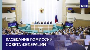 Заседание комиссии Совета Федерации