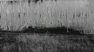 Тепловизионный прицел за 100т.р. NNPO trs345