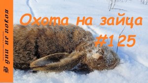 Охота на зайца. Выпуск № 125 18+