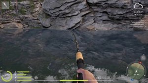 Русская рыбалка 4. В погоне за огромным гольцом.