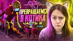 STRAY: ПРЕВРАЩАЕМСЯ В КОТИКА 😸2 Часть!