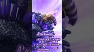 VID_20260202_071017_325.mp4