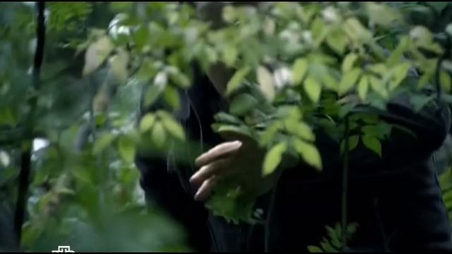 Братаны не дали отбить Облома людям Мартынова… #нтв #братаны #сериал #кино #фильм