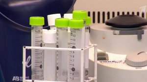 Первый случай заболевания оспой обезьян подтвержден у пациента в Московской области.