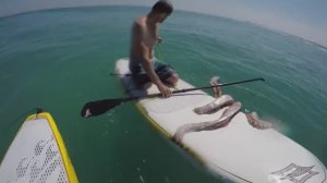 ГИГАНСТКИЙ КАЛЬМАР АТАКУЕТ ДОСКУ ДЛЯ СЕРФИНГА