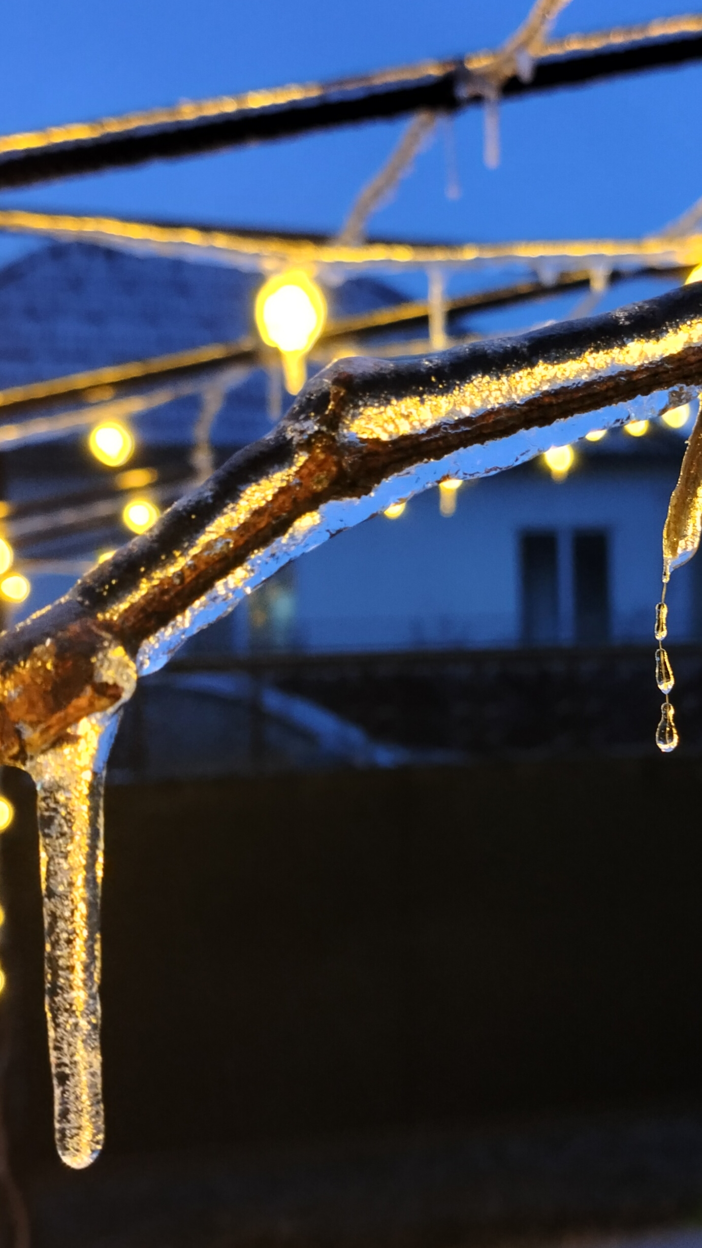 Ледяной плен. смотреть онлайн