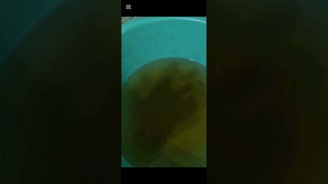 Инкубация 2026 Инкубация 2026