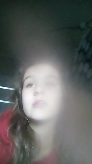 Мы посадили кошек в терьму