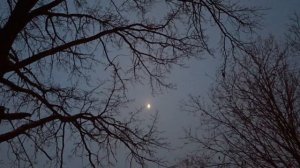 ОСЕННЕЕ слова Оксаны Москаленко, музыка Павла Иволгина