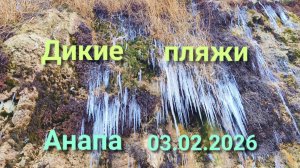 Анапа 03.02.2026 про дикие пляжи