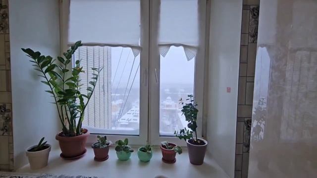 Продается 2-комнатная квартира с великолепным видом на город на ул. Дьяконова, 30А смотреть онлайн