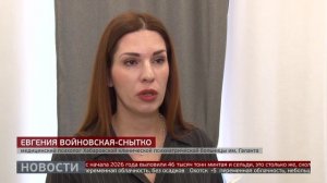 Помощь семьям участников СВО: психологическая поддержка. Новости. 03/02/2026. GuberniaTV