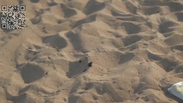 Красивая девушка смотреть онлайн