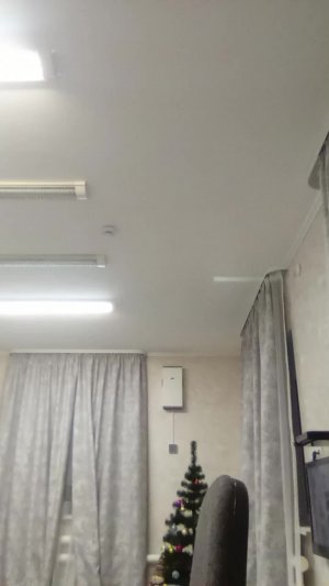 100 дней хордкор