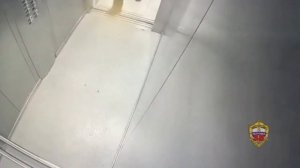 Супружеская пара уличена полицейскими в краже более 7 млн рублей из квартиры на юго-западе Москвы