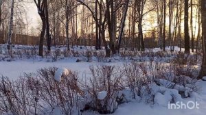 ПРОДОЛЖАЕМ РАЗГОВОР НЕМНОГО ВЫХОД НЕ ЗАБОЛЕТЬ БЫ МАШУ АЛЕКСЕЮ И ВСЕМ НА УДАЧУ ПО АКЦИИ МАХНЕМ НА ВСЁ