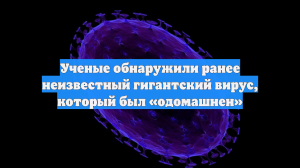 Ученые обнаружили ранее неизвестный гигантский вирус, который был «одомашнен»