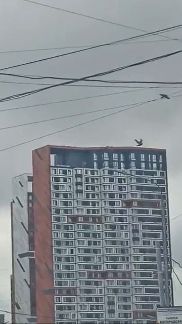 ПОЧЕМУ ТАКОЙ ДИЗАЙН?