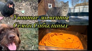 ❤️Не пускаю в дом/ Окунаясь в воспоминания/ Мамин торт Зебра