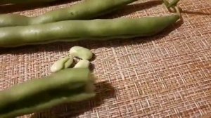 2183.   А вы выращиваете такую.....