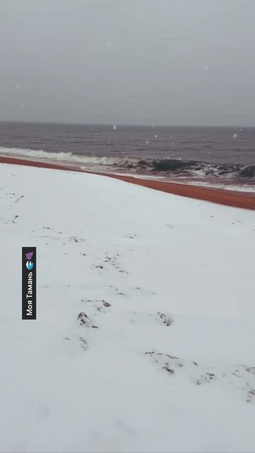 Крым. Феодосия. Февраль. Море / Моя Тамань 🌊🍇