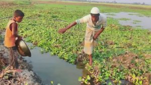 ЛОВЛЯ РУКАМИ В МУТНОЙ ВОДЕ