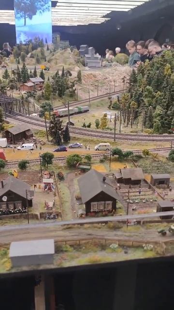 1000009485.mp4Санкт-Петербург.03.02.2026г.