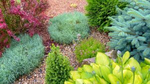 Декортивные коврики для рокариев и альпийских горок.