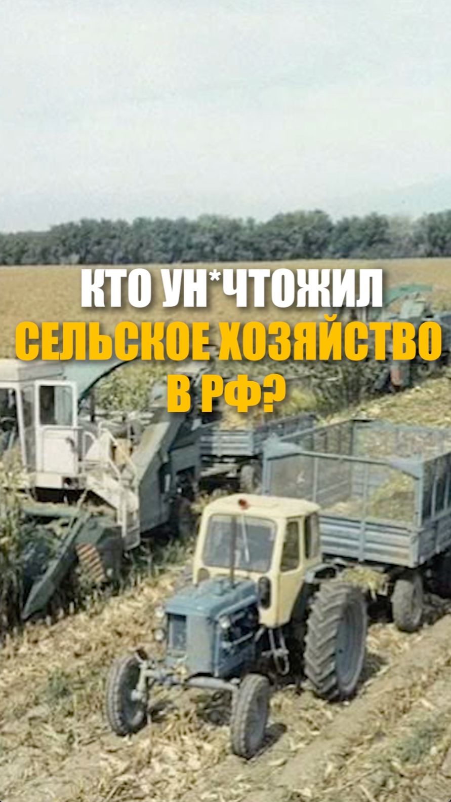 Кто уничтожил сельское хозяйство в РФ?
