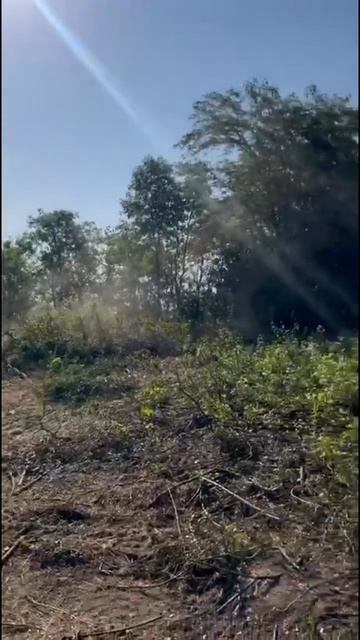 🔵 Мульчер лесной SSKRT150 @OSMAMULCHERS для мини-погрузчиков 3-5тн CAT289D