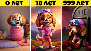 😱 ЭВОЛЮЦИЯ СКАЙ: от РЕБЕНКА до СТАРИКА в ЩЕНЯЧИЙ ПАТРУЛЬ МАЙНКРАФТ