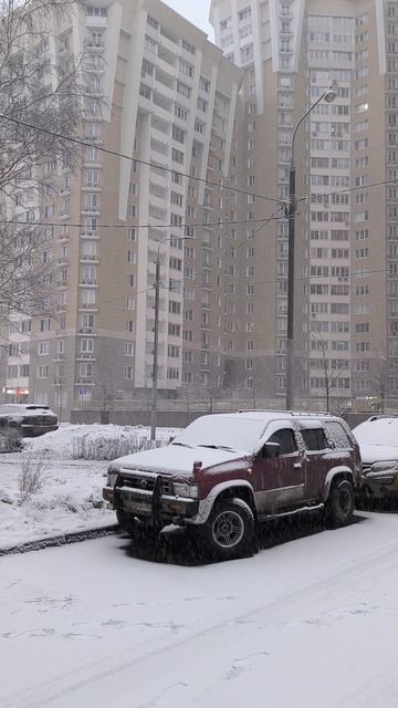 49 снежный террано