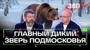 Правда ли, что в Подмосковье стало больше медведей? Правила безопасности при встрече с диким зверем