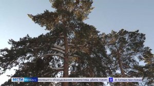 Фейк или правда: «Вести» разобрались, появится ли в Рудничном бору термальный спа-центр