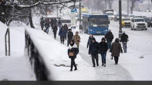 В России отметили влияние жизни в одиночку на трансформацию экономики