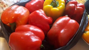 2185.  Вот такие они красавцы! Урожай перцев.