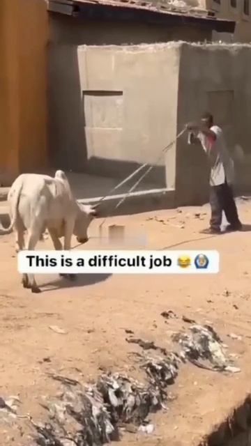 Пабеги замной душнила смотреть онлайн