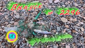 #Абхазия2026🌴 3.02.26г.🔥 Выпуск № 2296❗вчера +18°🌡ночью +9°🌡море +10,6°🐬