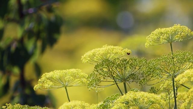 Пётр Павлович Ершов Гроза смотреть онлайн