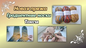 Новая пряжа Forza/градиентные носки/таксы