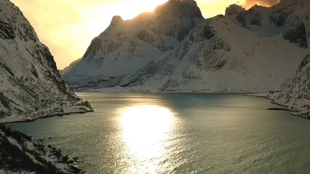 Основная ветка смотреть онлайн