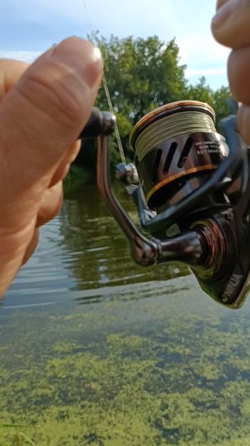 трофей сезона