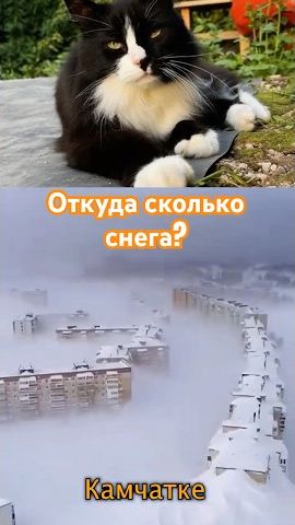 Снег победил  Это Камчатка