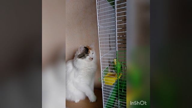 Нежно, любовно…